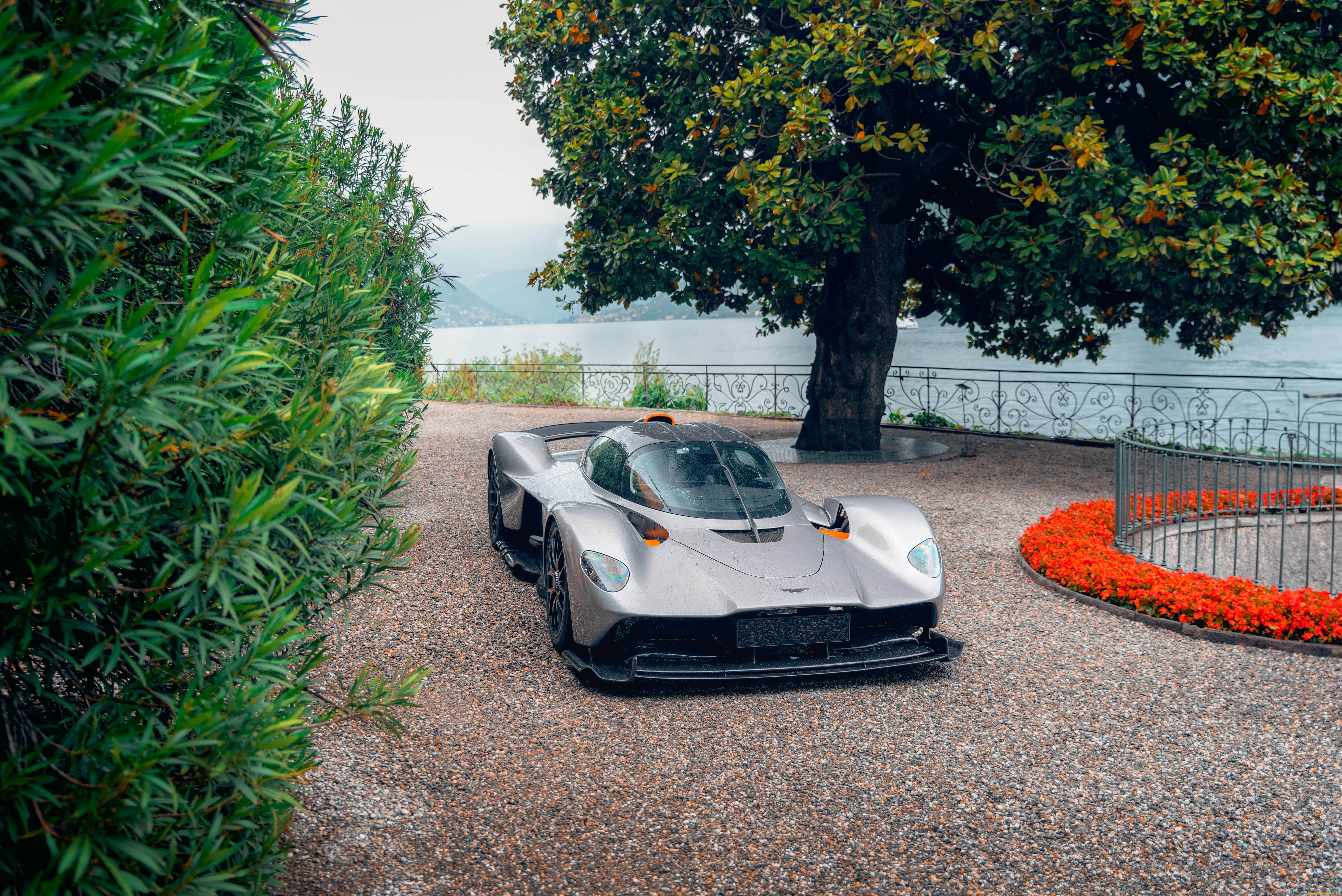 , aston martin, aston-martin